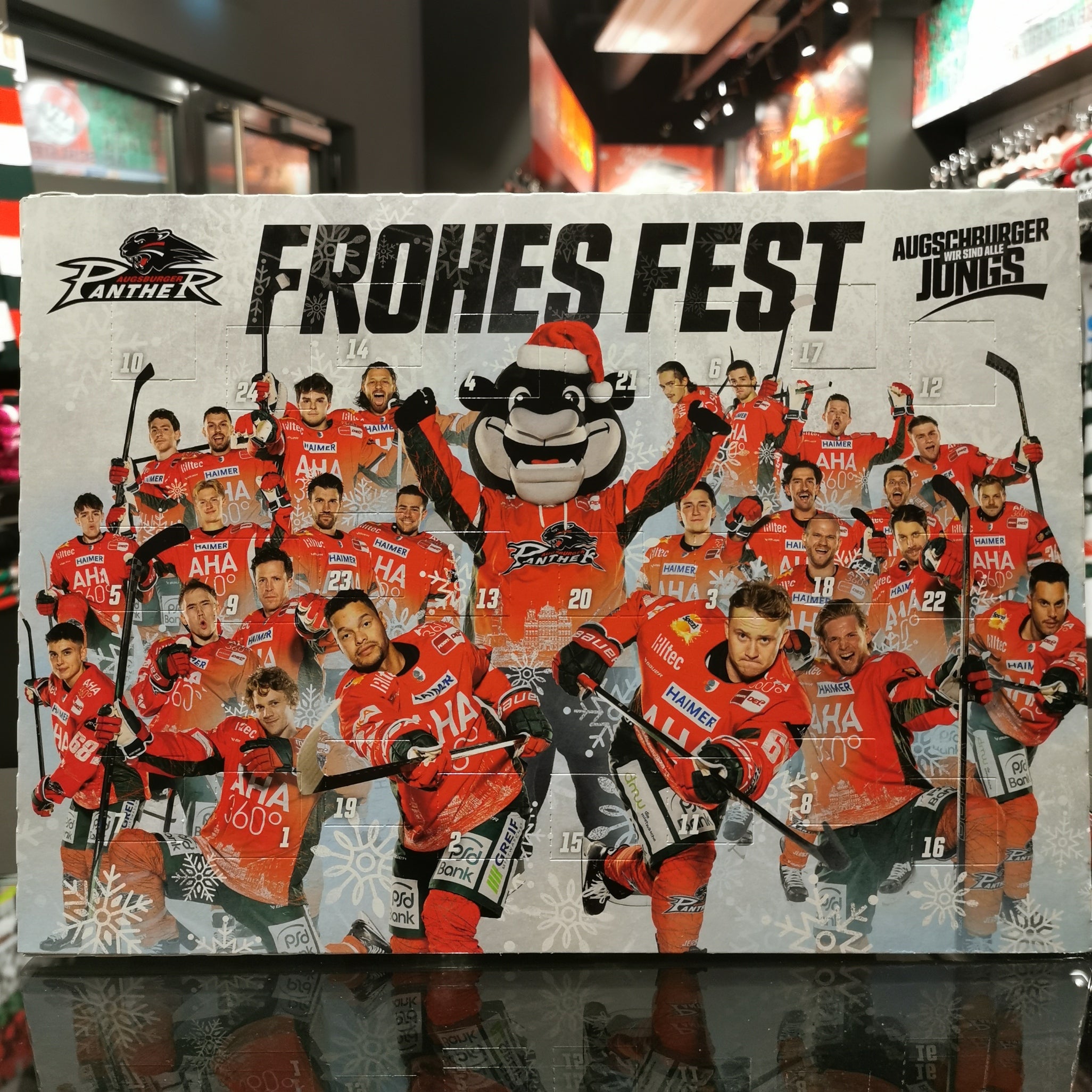 Alle Spieler der Augsburger Panther sowie Datschi sind auf de Kalendermotiv abgebildet